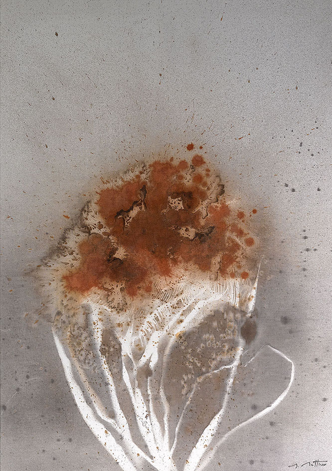 12. Flower Oxide II – 95 x 136 cm ($28,000.00)