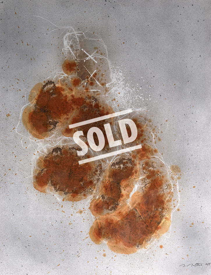 6. Boxing Gloves Rusty – 124.5 x 164 ($28,000.00) *SOLD